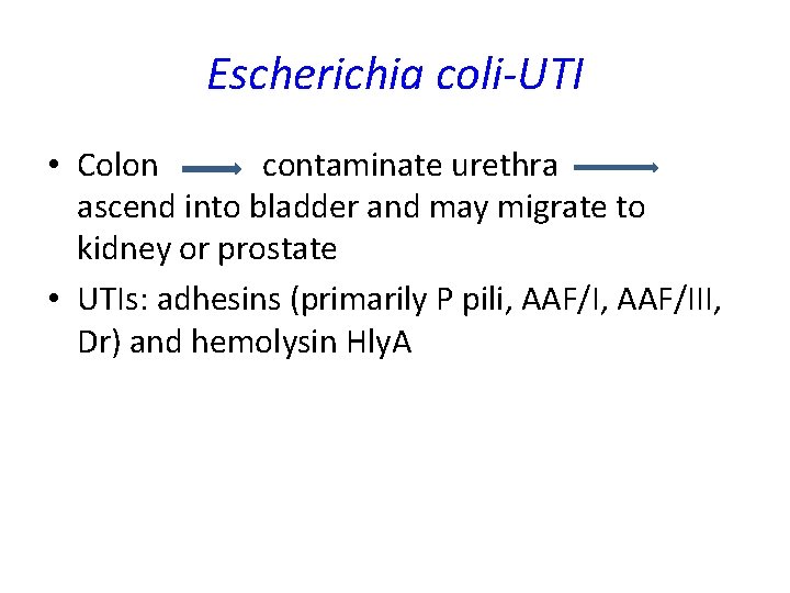 Escherichia coli-UTI • Colon contaminate urethra ascend into bladder and may migrate to kidney Escherichia coli-UTI • Colon contaminate urethra ascend into bladder and may migrate to kidney