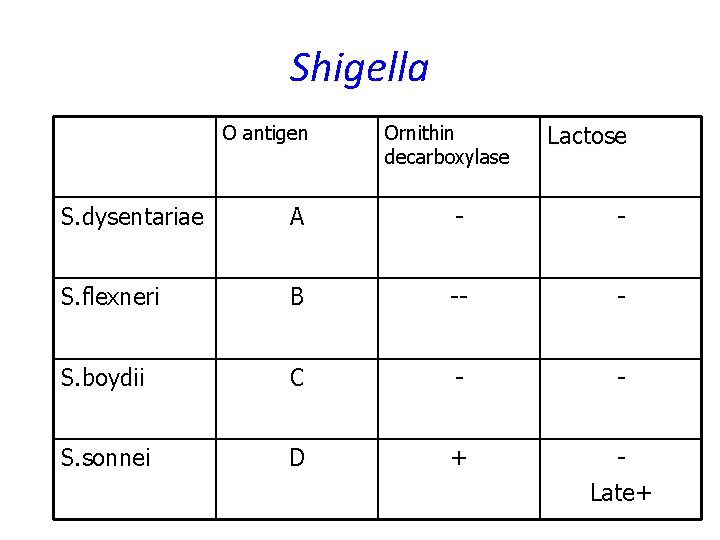 Shigella O antigen Ornithin decarboxylase Lactose S. dysentariae A - - S. flexneri B Shigella O antigen Ornithin decarboxylase Lactose S. dysentariae A - - S. flexneri B