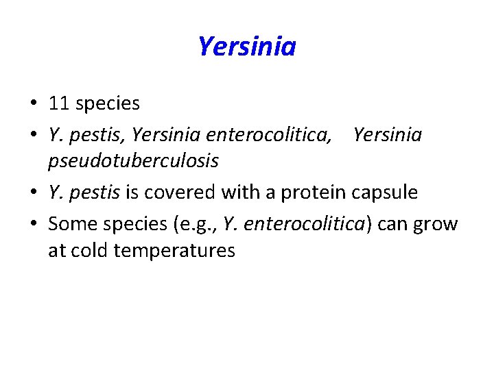Yersinia • 11 species • Y. pestis, Yersinia enterocolitica, Yersinia pseudotuberculosis • Y. pestis Yersinia • 11 species • Y. pestis, Yersinia enterocolitica, Yersinia pseudotuberculosis • Y. pestis