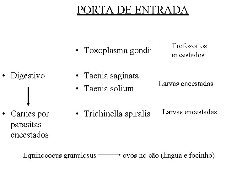 PORTA DE ENTRADA • Toxoplasma gondii • Digestivo • Taenia saginata • Taenia solium