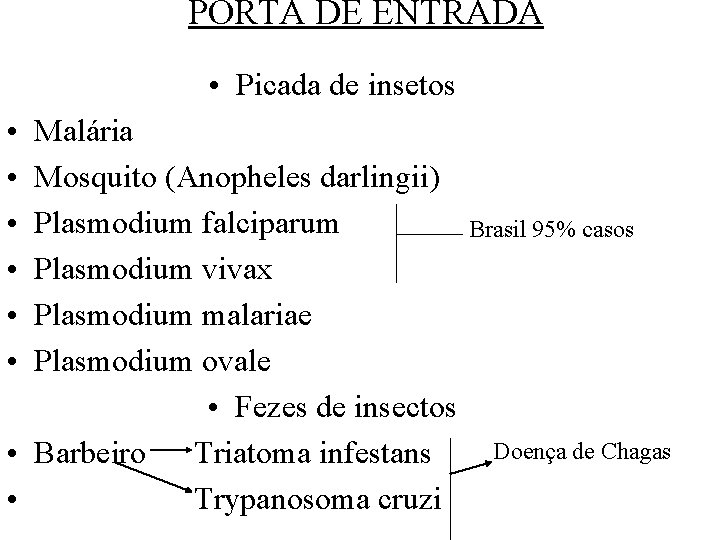 PORTA DE ENTRADA • Picada de insetos • • • Malária Mosquito (Anopheles darlingii)