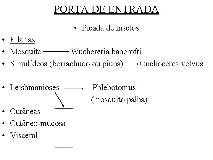 PORTA DE ENTRADA • Picada de insetos • Filarias • Mosquito Wuchereria bancrofti •