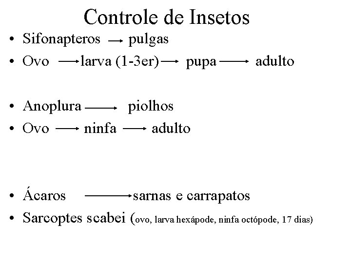 Controle de Insetos • Sifonapteros pulgas • Ovo larva (1 -3 er) pupa adulto