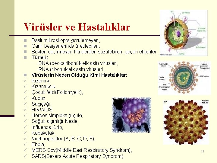 Virüsler ve Hastalıklar n n n ü ü ü ü Basit mikroskopta görülemeyen, Canlı