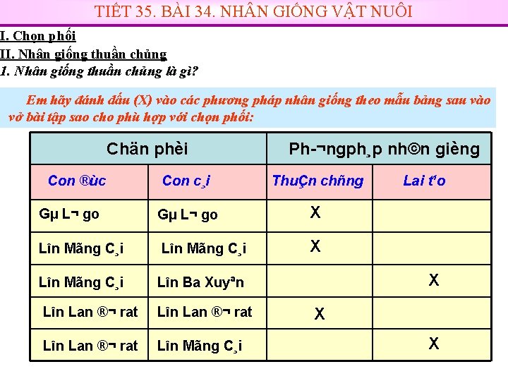 TIẾT 35. BÀI 34. NH N GIỐNG VẬT NUÔI I. Chọn phối II. Nhân