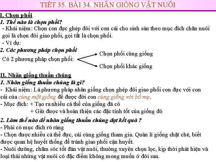 TIẾT 35. BÀI 34. NH N GIỐNG VẬT NUÔI I. Chọn phối 1. Thế