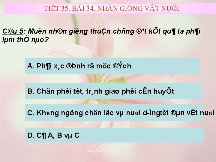 TIẾT 35. BÀI 34. NH NGIỐNGVẬT VẬTNUÔI C©u 5: Muèn nh©n gièng thuÇn chñng