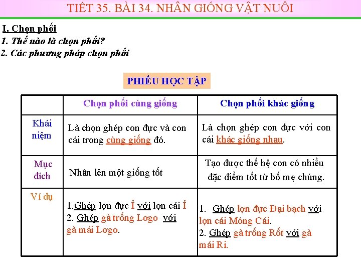 TIẾT 35. BÀI 34. NH N GIỐNG VẬT NUÔI I. Chọn phối 1. Thế