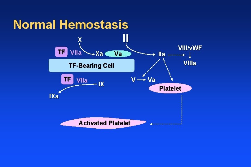 Normal Hemostasis II X TF VIIa Xa Va IIa VIII/v. WF VIIIa TF-Bearing Cell