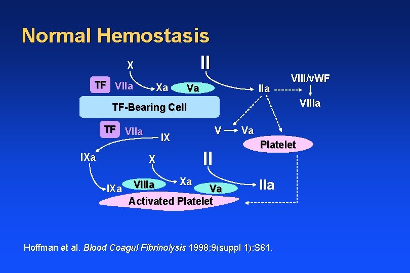 Normal Hemostasis II X TF VIIa Xa Va IIa VIII/v. WF VIIIa TF-Bearing Cell
