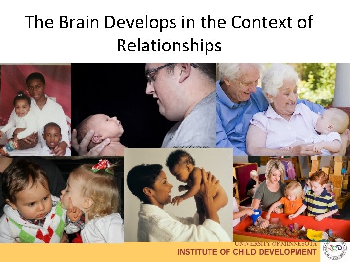 The Brain Develops in the Context of Relationships 