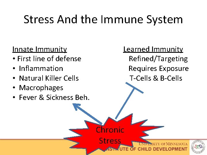Stress And the Immune System Innate Immunity • First line of defense • Inflammation