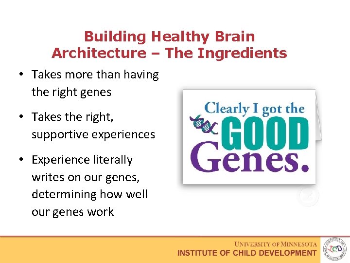 Building Healthy Brain Architecture – The Ingredients • Takes more than having the right