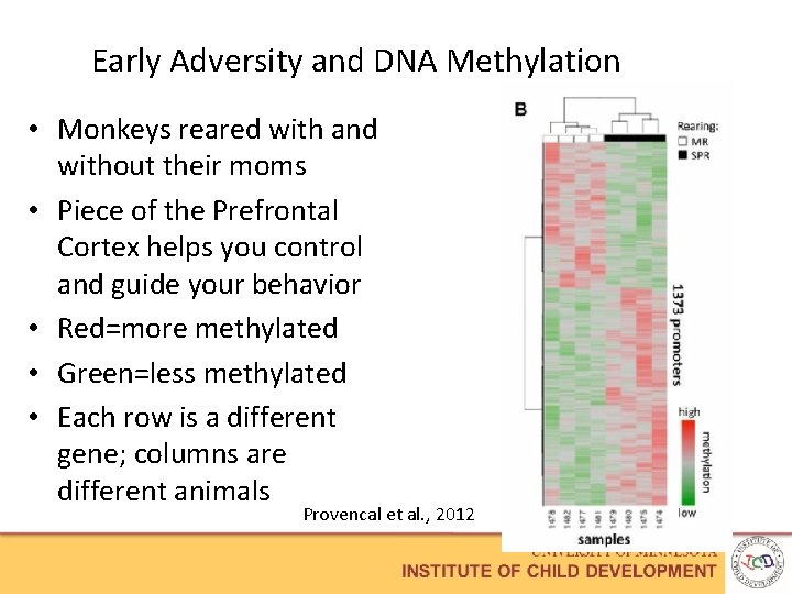 Early Adversity and DNA Methylation • Monkeys reared with and without their moms •