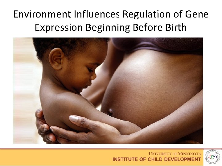 Environment Influences Regulation of Gene Expression Beginning Before Birth 