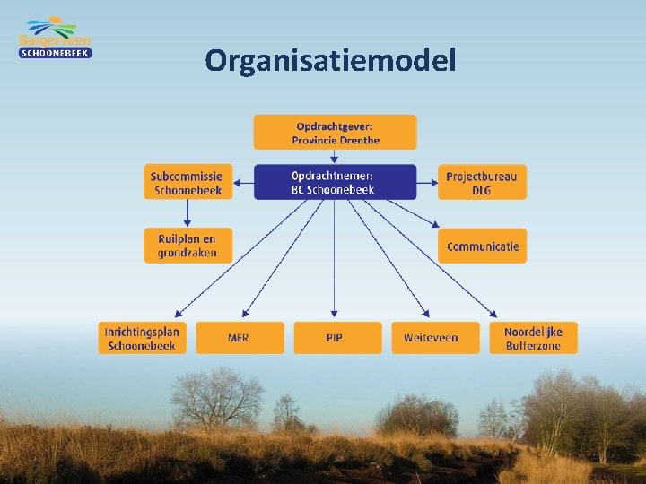 Organisatiemodel 