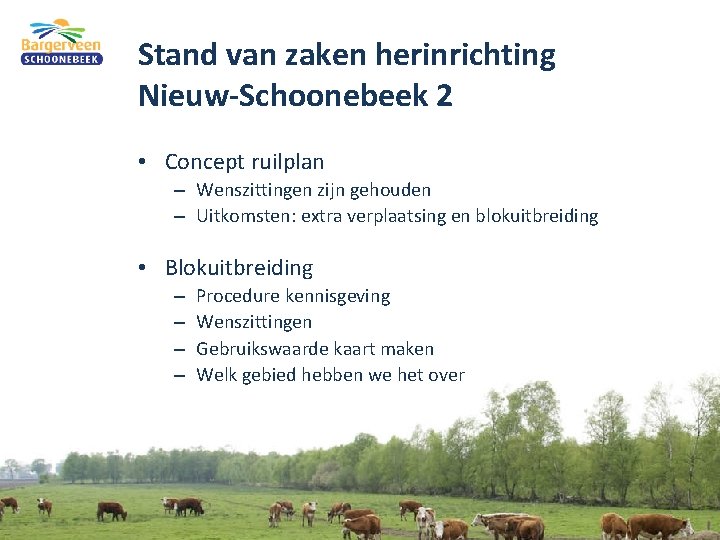 Stand van zaken herinrichting Nieuw-Schoonebeek 2 • Concept ruilplan – Wenszittingen zijn gehouden –