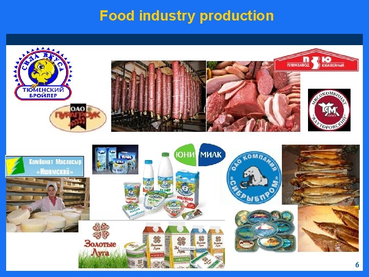 Food industry production 6 