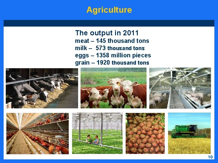 Agriculture The output in 2011 meat – 145 thousand tons milk – 573 thousand