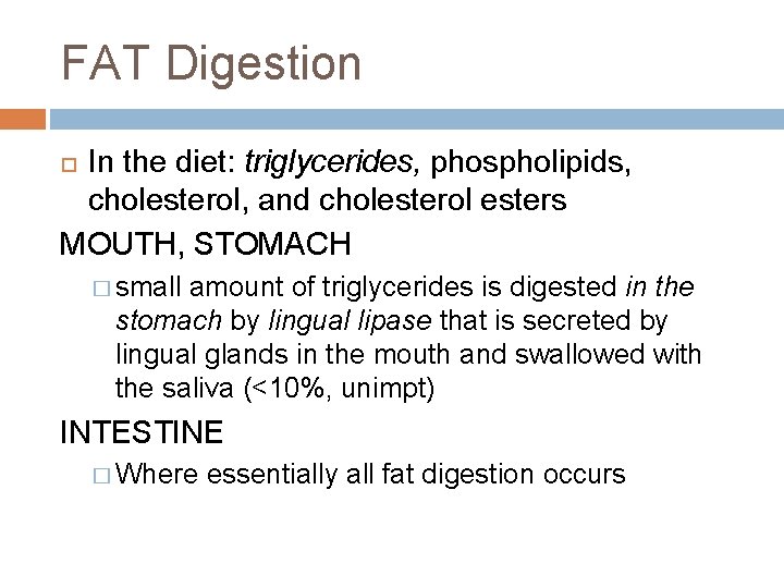 FAT Digestion In the diet: triglycerides, phospholipids, cholesterol, and cholesterol esters MOUTH, STOMACH �