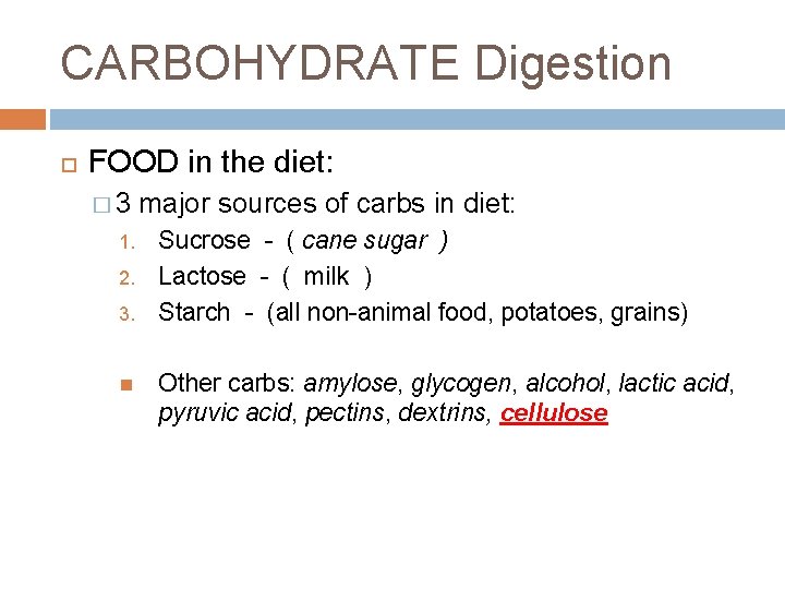 CARBOHYDRATE Digestion FOOD in the diet: � 3 1. 2. 3. major sources of