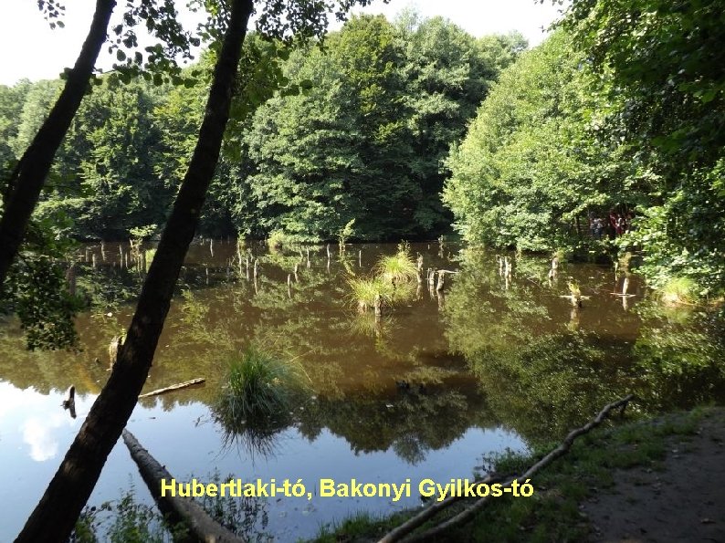 Hubertlaki-tó, Bakonyi Gyilkos-tó 