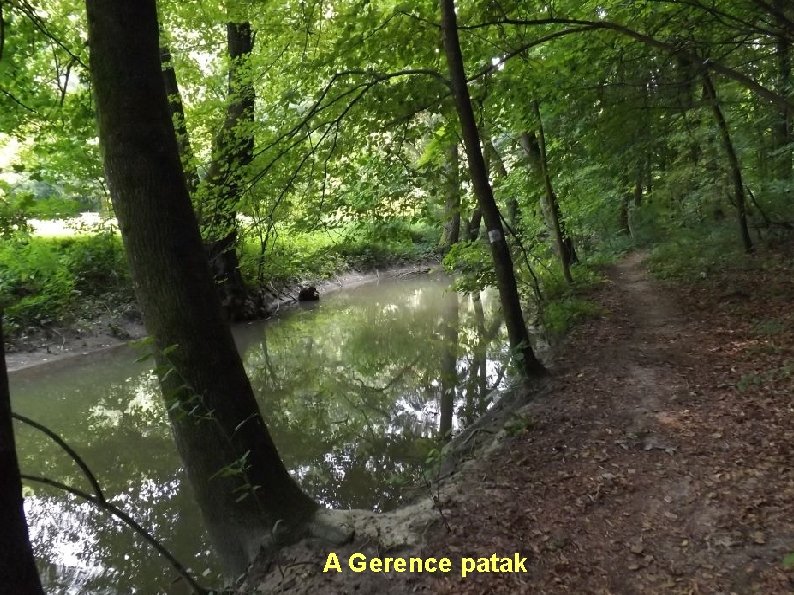 A Gerence patak 
