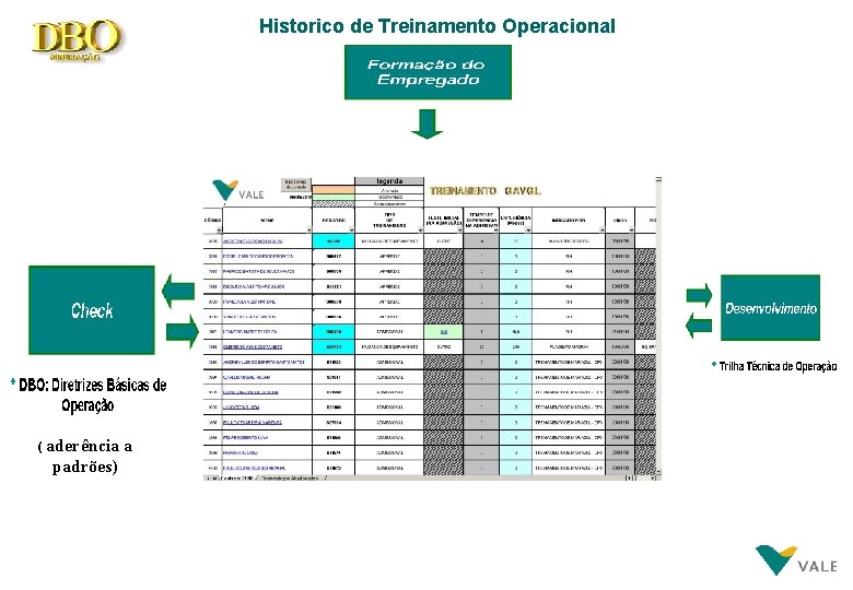 Historico de Treinamento Operacional ( aderência a padrões) 29 