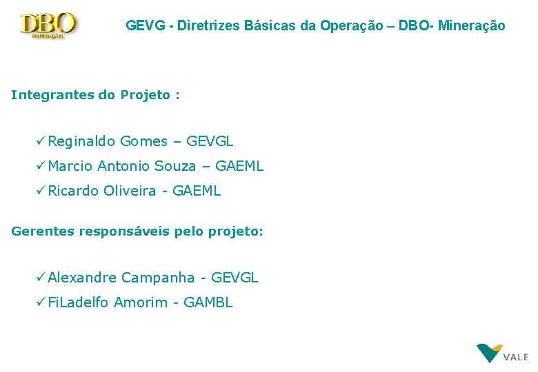 GEVG - Diretrizes Básicas da Operação – DBO- Mineração Integrantes do Projeto : üReginaldo