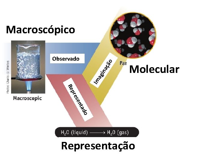 Macroscópico Im ag ina çã o Observado Molecular o tad sen pre Re Representação