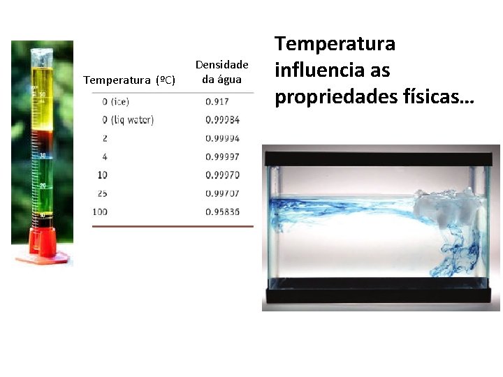 Temperatura (ºC) Densidade da água Temperatura influencia as propriedades físicas… 