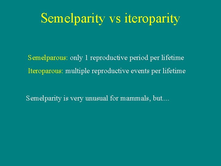 Semelparity vs iteroparity Semelparous: only 1 reproductive period per lifetime Iteroparous: multiple reproductive events