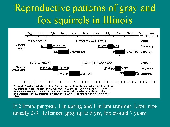 Reproductive patterns of gray and fox squirrels in Illinois If 2 litters per year,