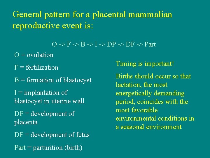 General pattern for a placental mammalian reproductive event is: O -> F -> B