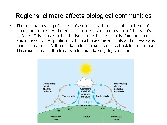 Regional climate affects biological communities • The unequal heating of the earth’s surface leads