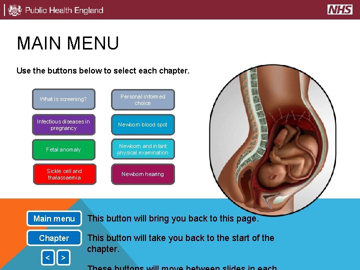 MAIN MENU Use the buttons below to select each chapter. What is screening? Personal