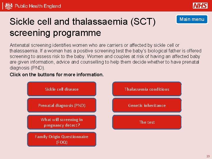 Sickle cell and thalassaemia (SCT) screening programme Main menu Antenatal screening identifies women who