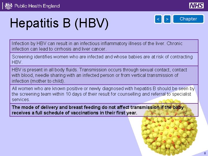 Hepatitis B (HBV) < > Chapter Infection by HBV can result in an infectious
