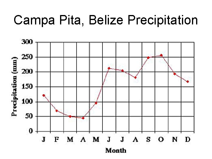 Campa Pita, Belize Precipitation 