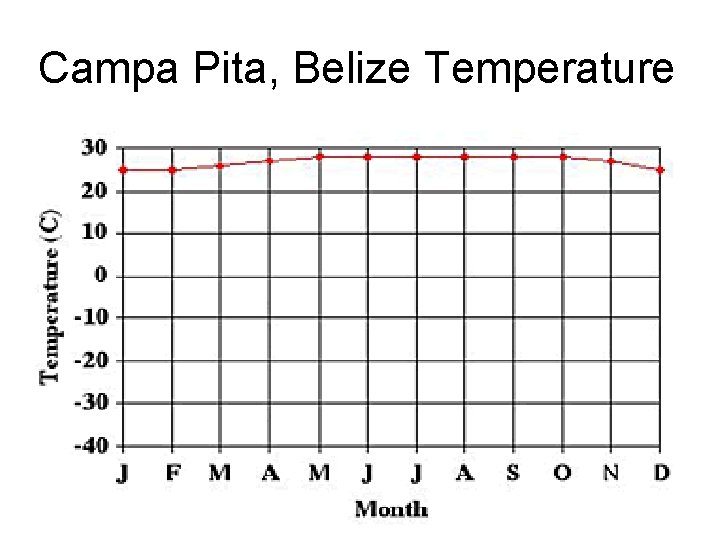  Campa Pita, Belize Temperature 