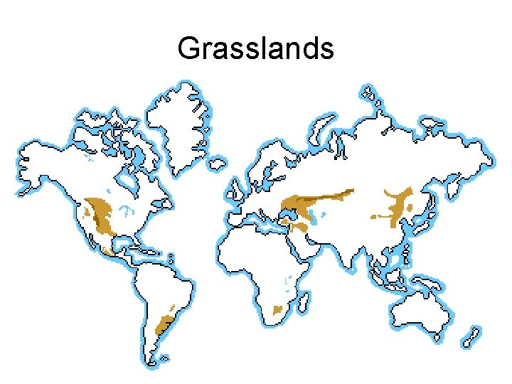 Grasslands 