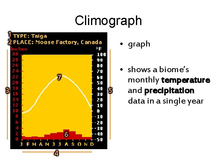 Climograph • shows a biome’s monthly temperature and precipitation data in a single year