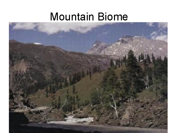 Mountain Biome 
