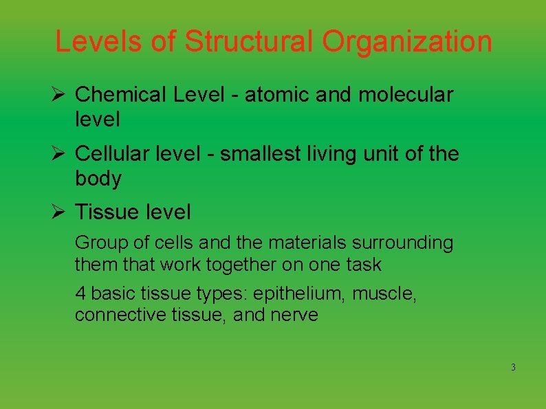 Levels of Structural Organization Ø Chemical Level - atomic and molecular level Ø Cellular