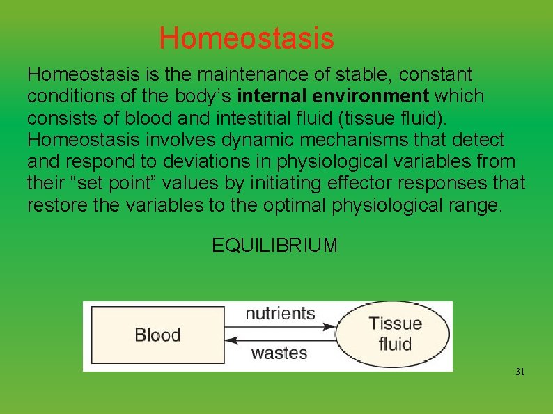 Homeostasis is the maintenance of stable, constant conditions of the body’s internal environment which