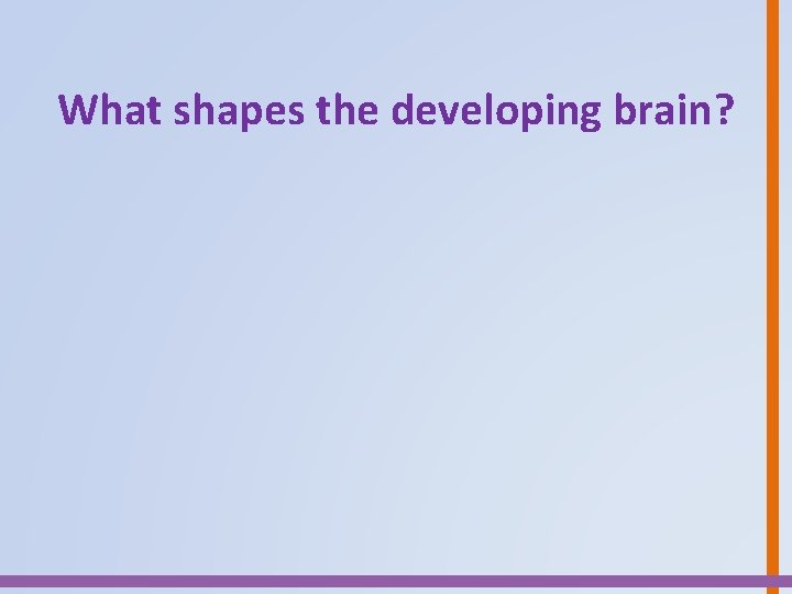 What shapes the developing brain? 