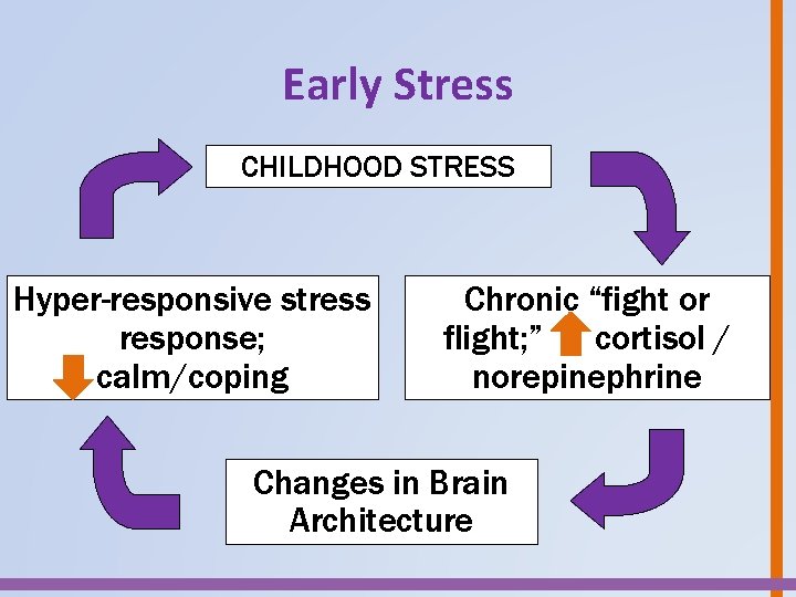 Early Stress CHILDHOOD TOXIC STRESS Hyper-responsive stress response; calm/coping Chronic “fight or flight; ”