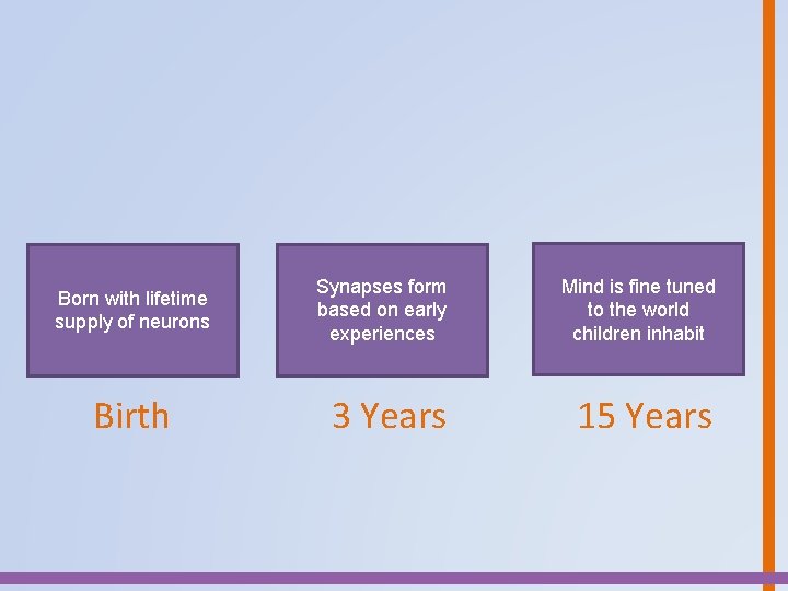 Born with lifetime supply of neurons Birth Synapses form based on early experiences Mind