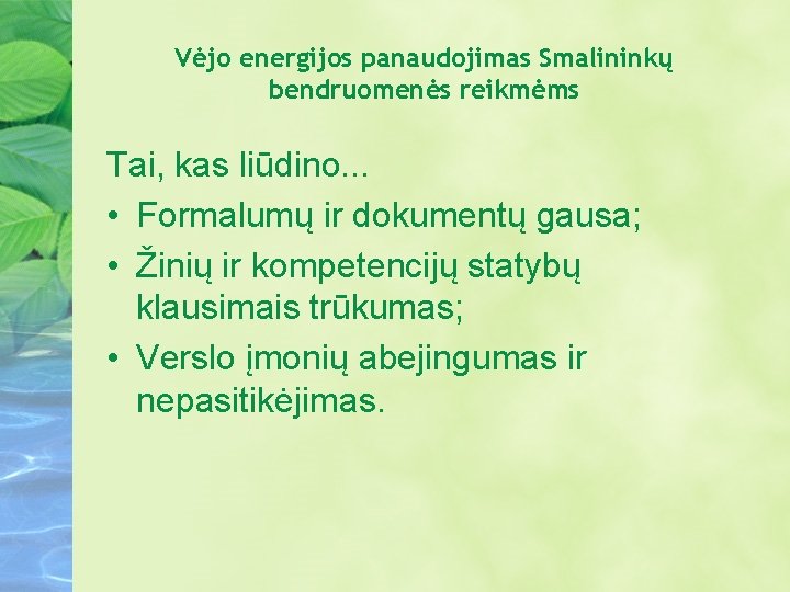 Vėjo energijos panaudojimas Smalininkų bendruomenės reikmėms Tai, kas liūdino. . . • Formalumų ir