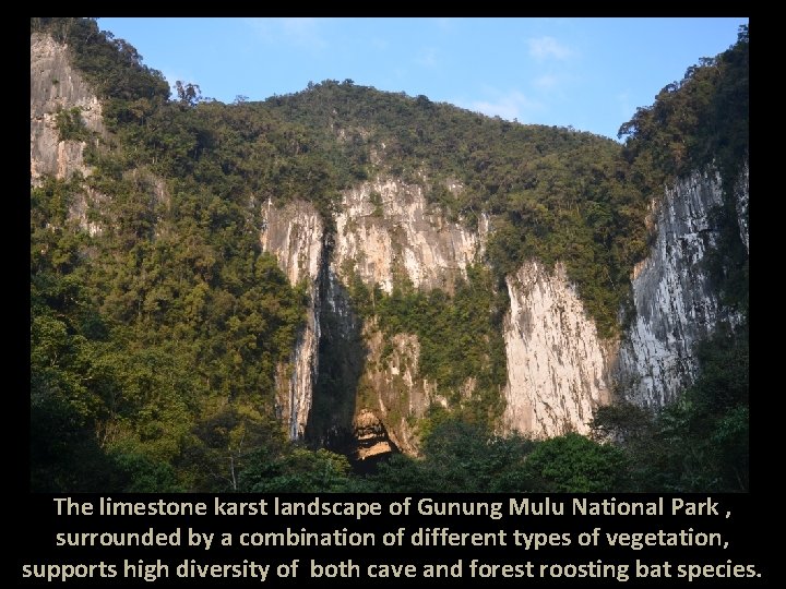 The limestone karst landscape of Gunung Mulu National Park , surrounded by a combination
